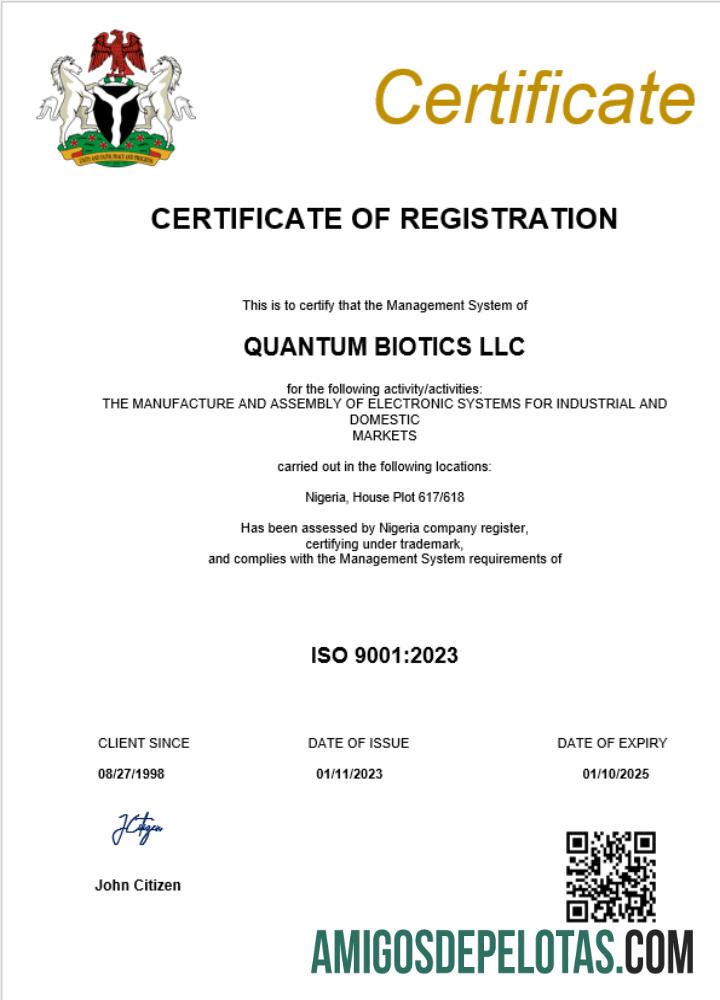 Modelo realista de certificado de registro comercial da Nigéria em Word e PDF